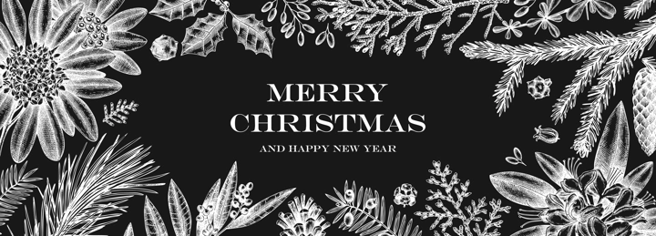 Christmas banner design on chalkboard. Vector frame with hand sketched winter flowers, evergreen plants and con. Vintage background with botanical elements. Engraved style vintage winter illustration.